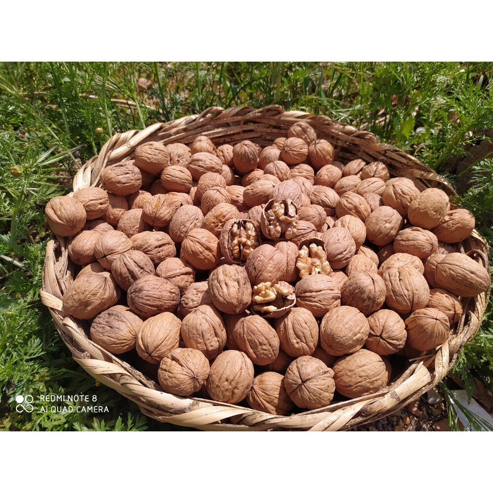 500 Gr İnce kabuk ceviz