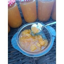 660 cc mango reçeli