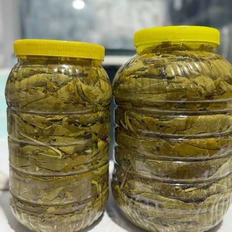 3lük Pette Salamura Asma Yaprağı