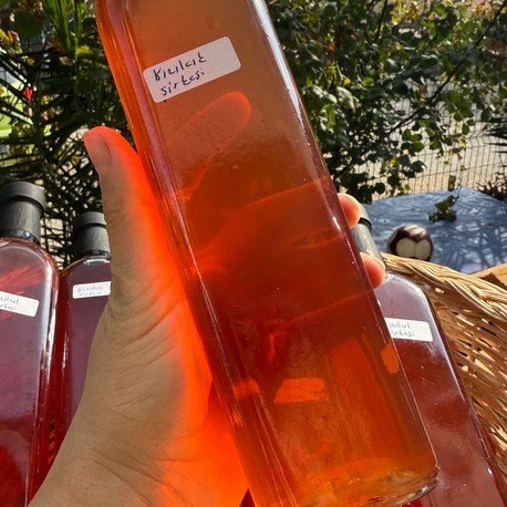 500 ml Kızılcık Sirkesi