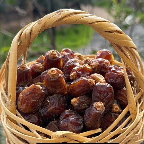 1 kg Küçük Medine Hurması