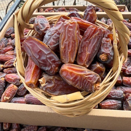 1 kg Mebrum Medine (duble) Hurması